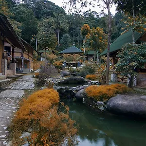 Hotel Bamboo Village